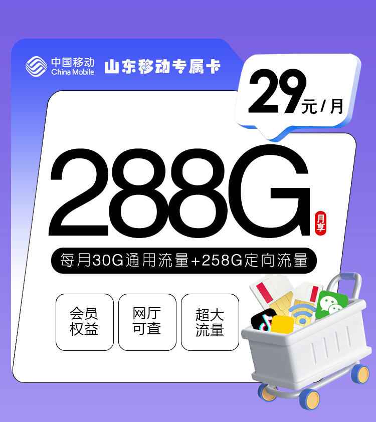 山东移动专属卡【29元288G】