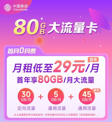 广东移动宝藏卡29元80G（30G定向+50G通用）