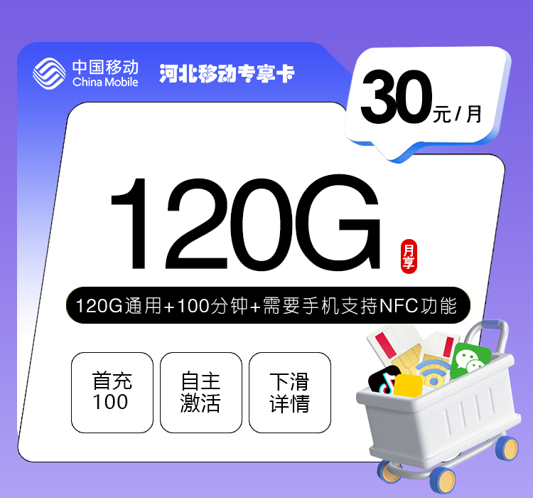 河北移动专享卡【30元120G通用流量+100分钟】